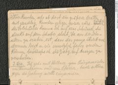 Seite 29, Tagebuch "Inzersdorf" (NHMW-PRAE-BBB-24)